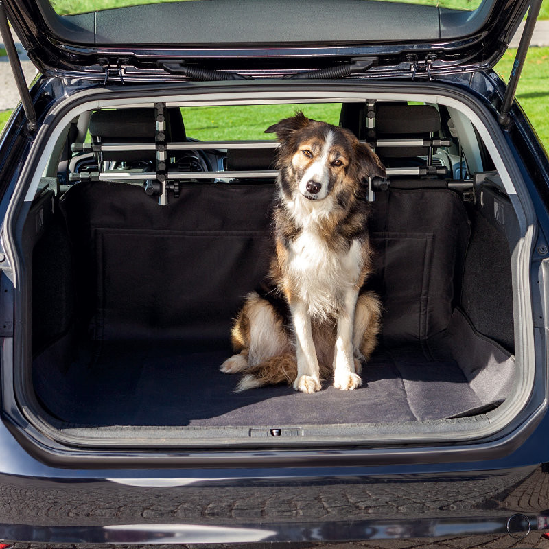 Trixie Kofferraum Schondecke für Hunde