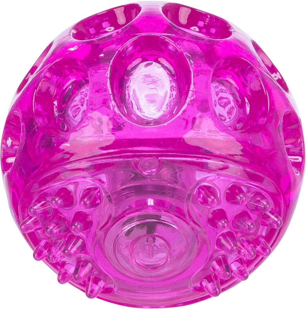 Trixie Dog Blinkball piink box