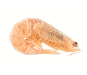 Trixie Cat Freeze Dried Shrimps 25 g